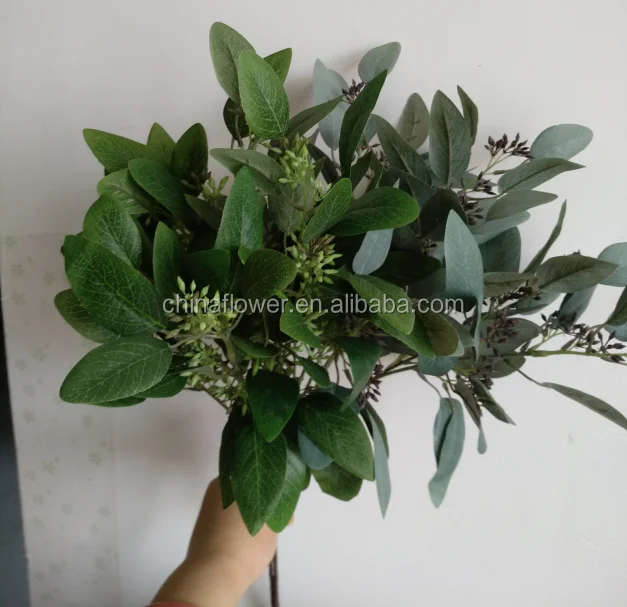 eucalyptus leaves  (1).png