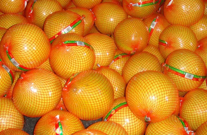 pomelo 3.jpg