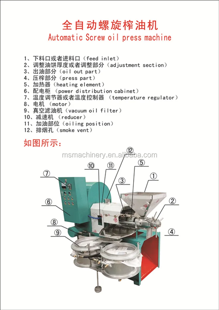 olive oil extraction machine