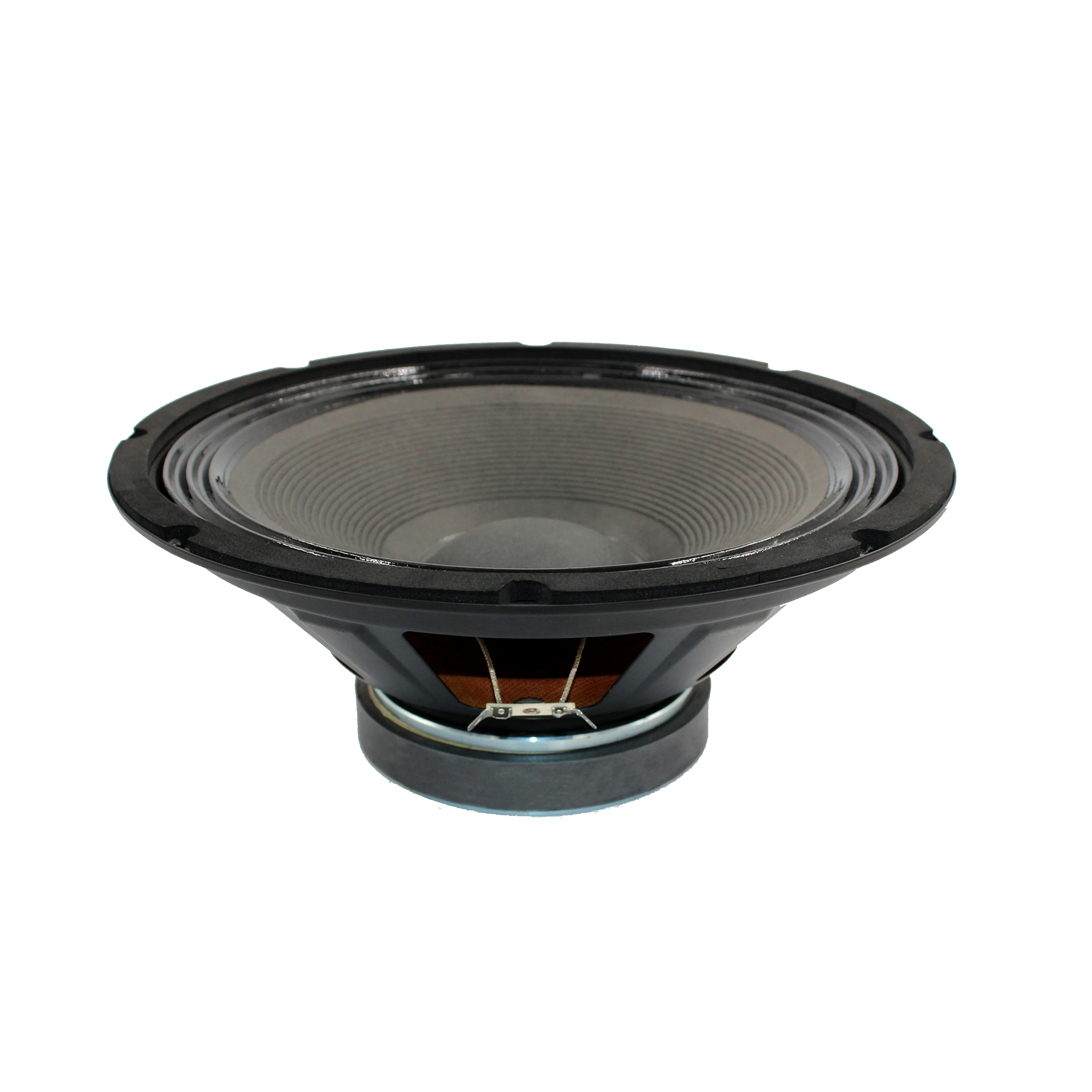 200 watt speaker 12 inch