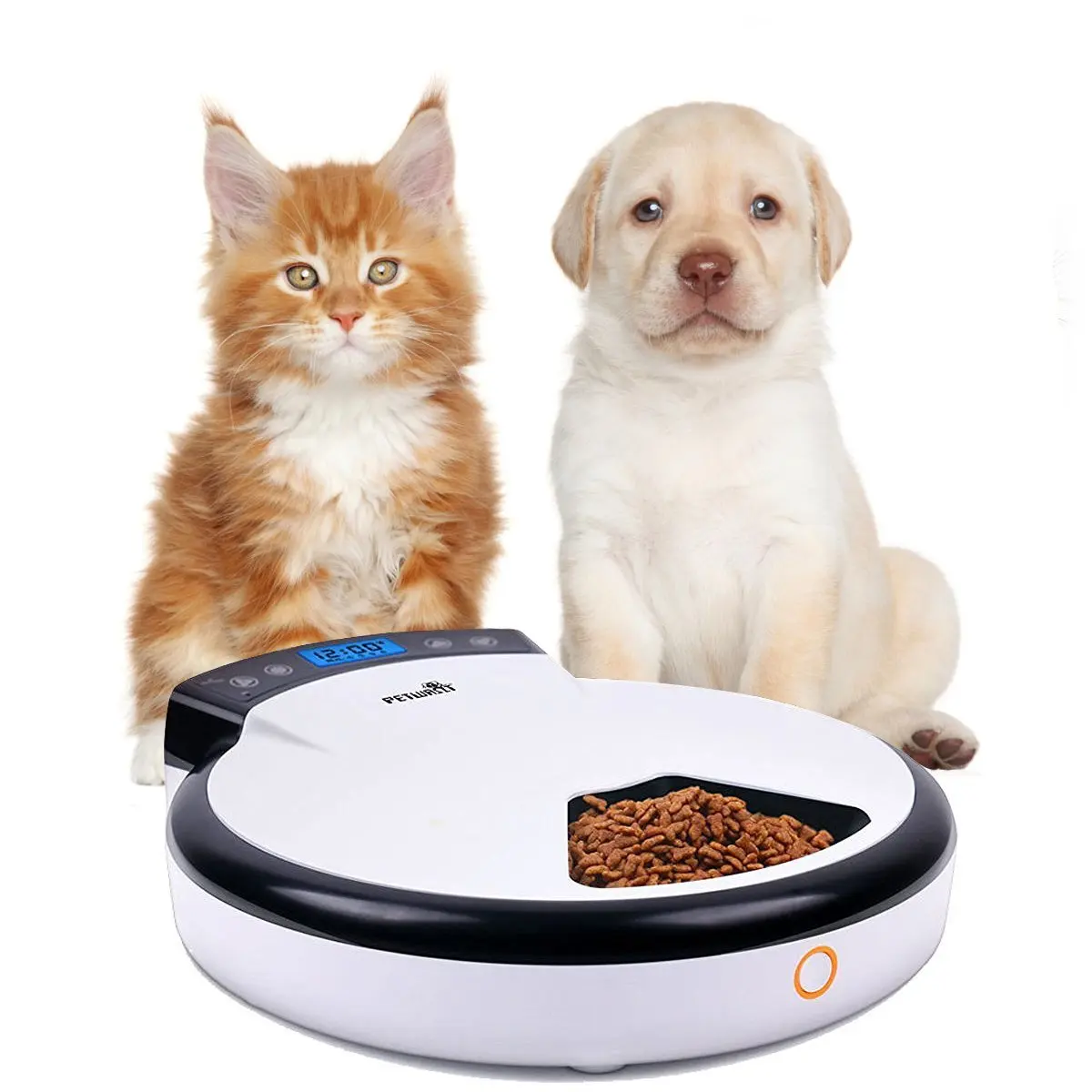 automatic feeder for cats wet food