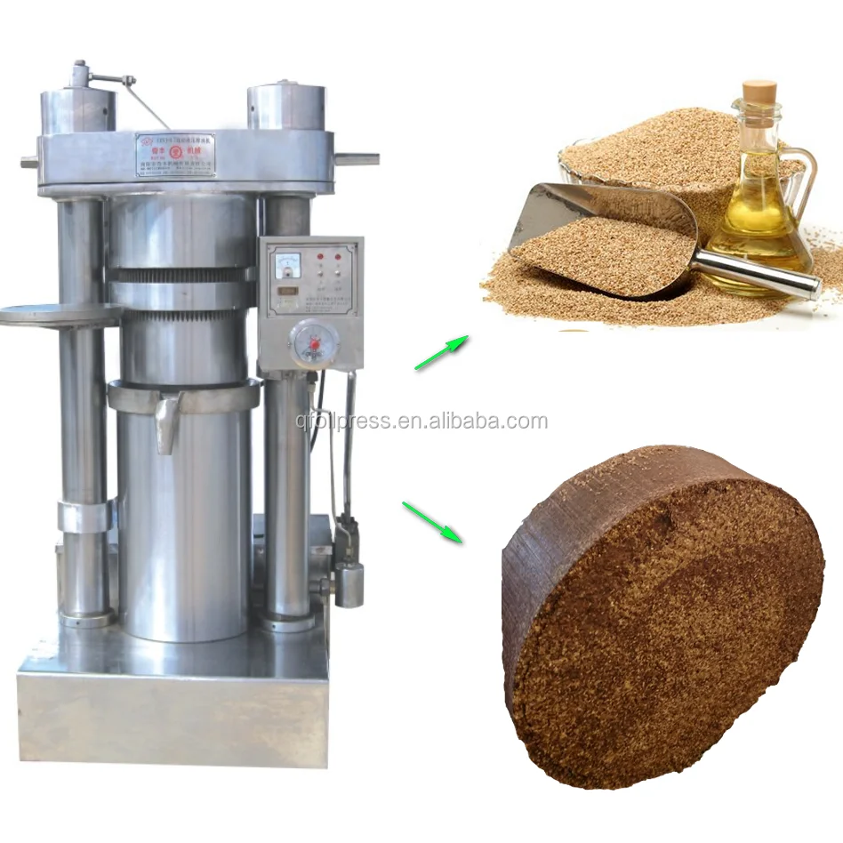 Avocado Oil Press Machine 100 Kg/h Oil Extraction Machine Buy Avocado
