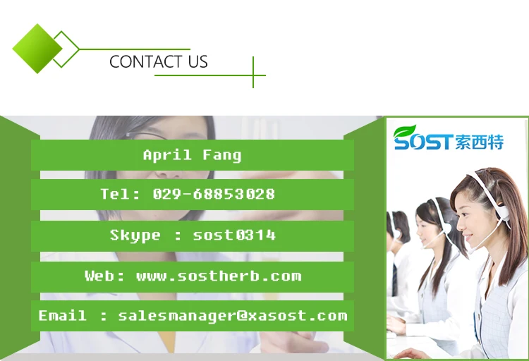 Wholesale Herbal Prickly Pear Nopal Cactus Powder.jpg