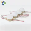 outdoor decoration DC 12V led rgb dot light led pixel ws2811 light full color bulb lighting