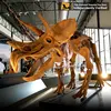 MY-Dino DS-066 Like Real Museum Life Size Dinosaur Skeleton Model