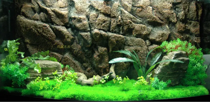 3d Decorative Background For Aquarium Buy Decorative Background For Aquarium 3d Animation Backgrounds Aquarium Accessories Product On Alibaba Com