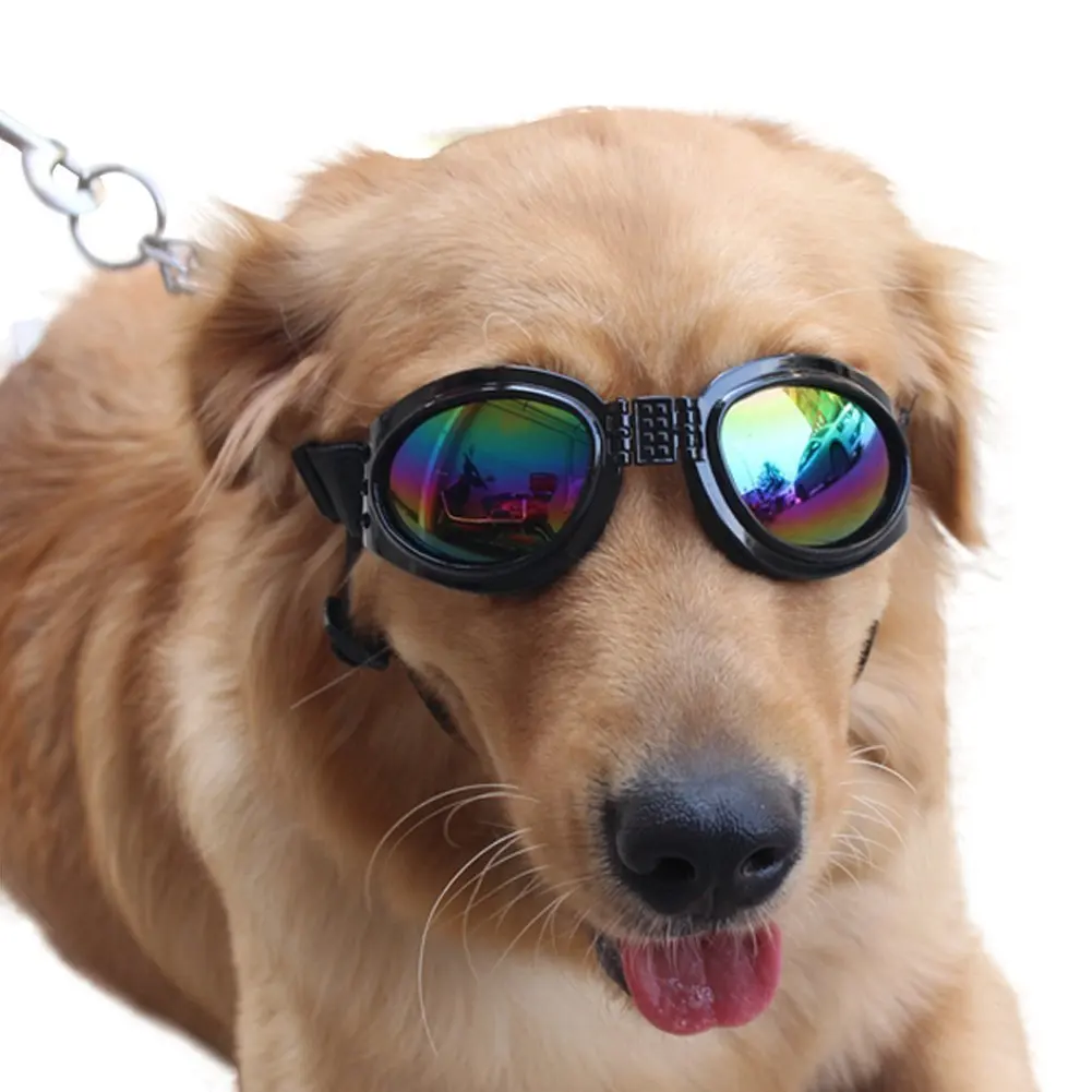 Pet Glasses Dog Sunglasses Dog Glasses Golden Retriever Samoyed