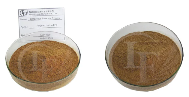 Hot Sale Cordyceps Sinensis Extract