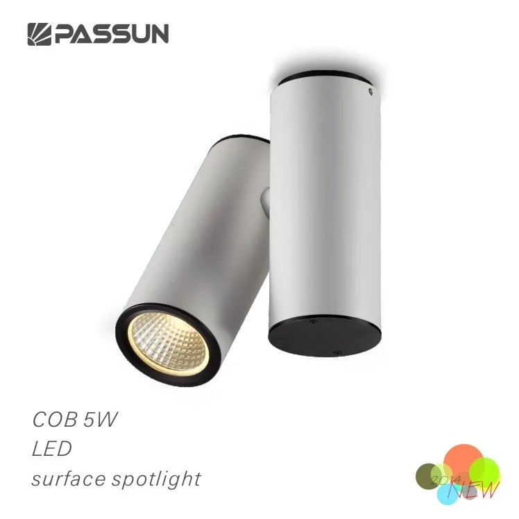 Adjustable Double Cylinder Ceiling Wall Surface Mounted 5w Led Spot Light View Surface Mounted Led Ceiling Light Passun Product Details From Zhongshan Passun Lighting Factory On Alibaba Com