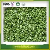 Complementary energy Freeze dried broccoli dehydrated vegetables chips