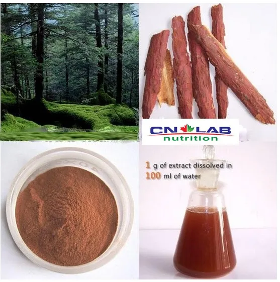 100 Natural Pine Tree Bark Extract P.e. Proanthocyanidins/pine Bark