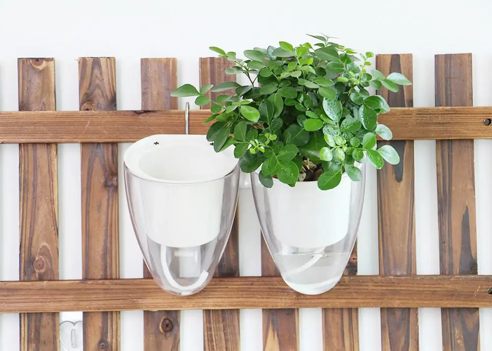 wall hanging flower pot