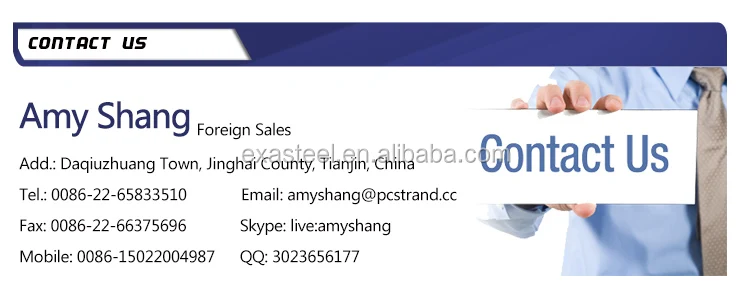 AMY SHANG.jpg