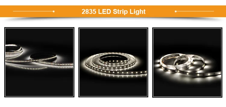 strip light (11).jpg