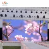 RGX P6mm outdoor led display screen