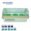 Cold Storage Ice Cream Showcase Display Fridge Glass Door