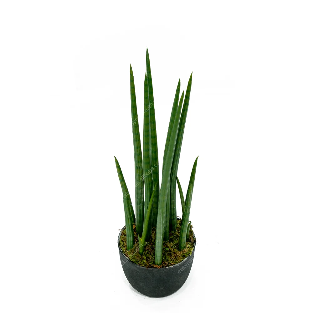 热卖40厘米高度景观绿色叶子蛇人造盆景植物 sansevieria stuckyi