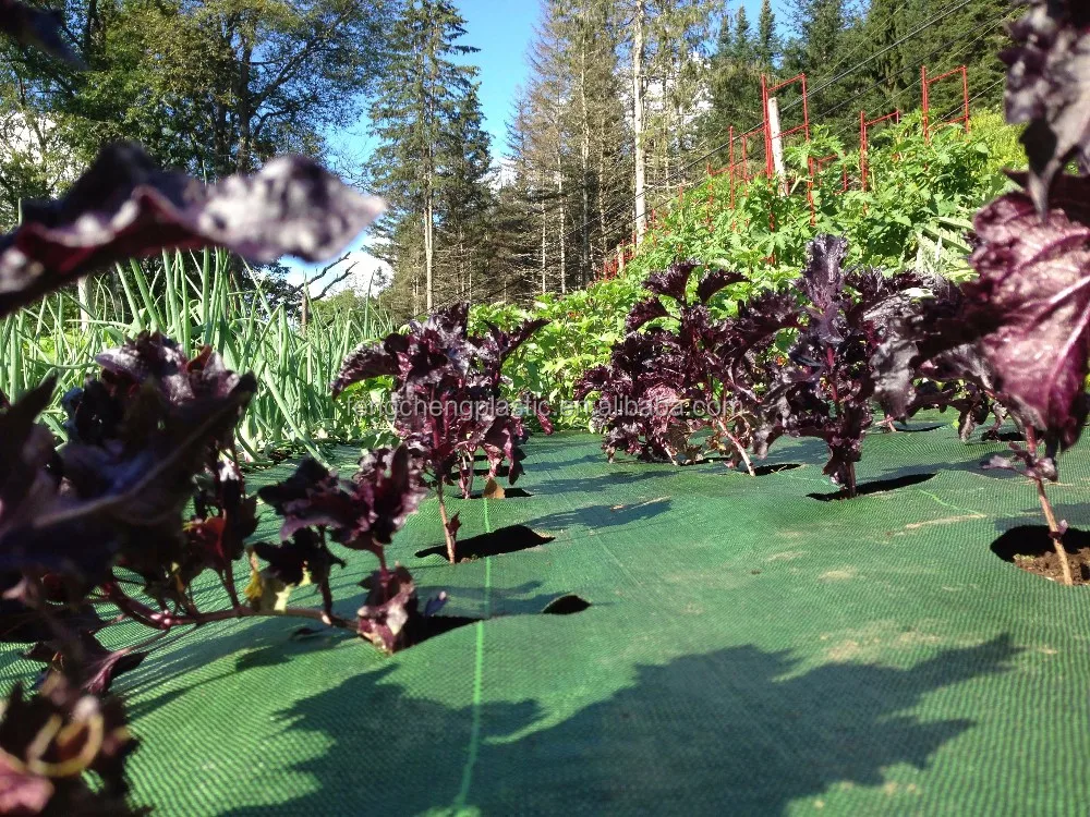 Excellent Quality Ground Cover Tarp From China,Durable Ground Cover Net