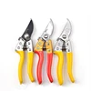 Factory wholesale Garden tools SK-5 sharp and durable Pruning Fruit tree shears Pruning shears