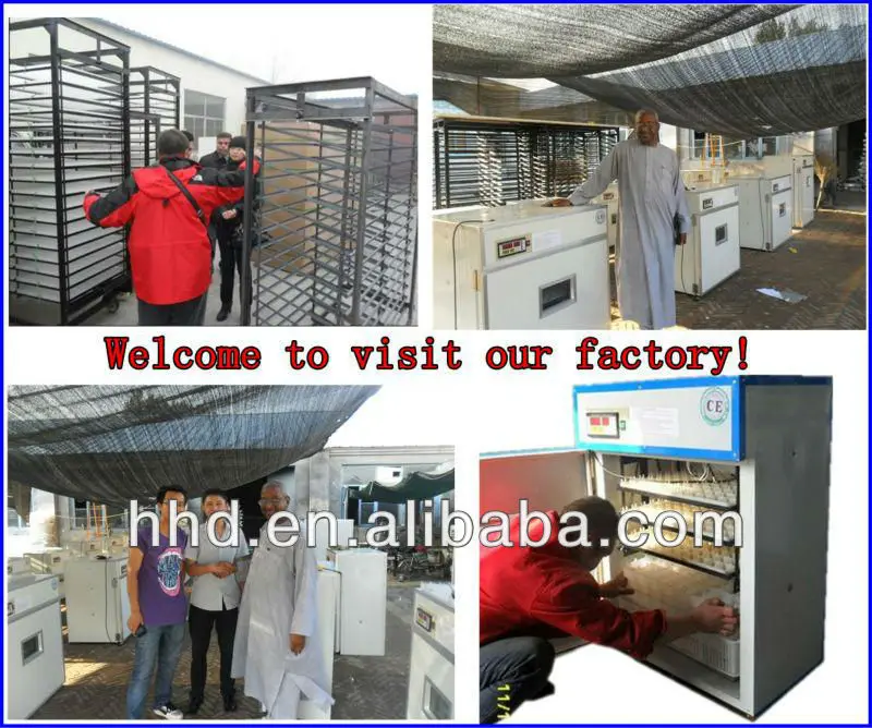 New Model Yz56a Ce Approved 56 Eggs Capacity Manual Egg Incubators In China Buy Manual Egg