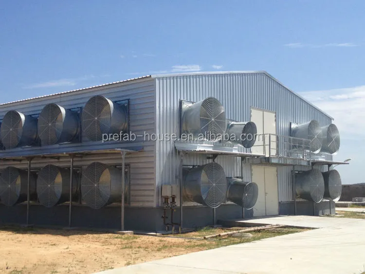 Top quality galvanized poultry/broiler house
