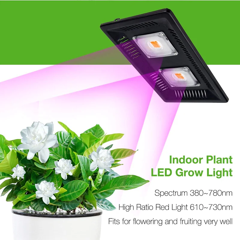 IP65 Warm Plant Flood Lamp LED Grow Light 50W 100W 150W COB Full Spectrum 