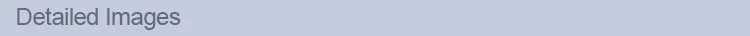 Detailed Image.jpg