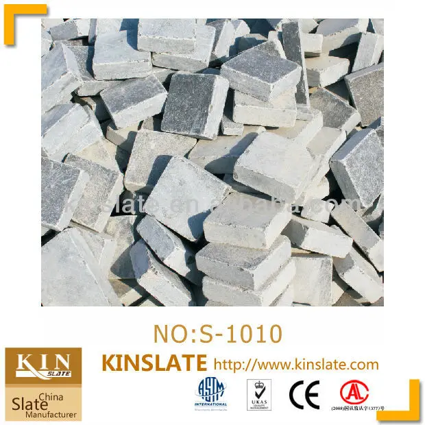 S-1010