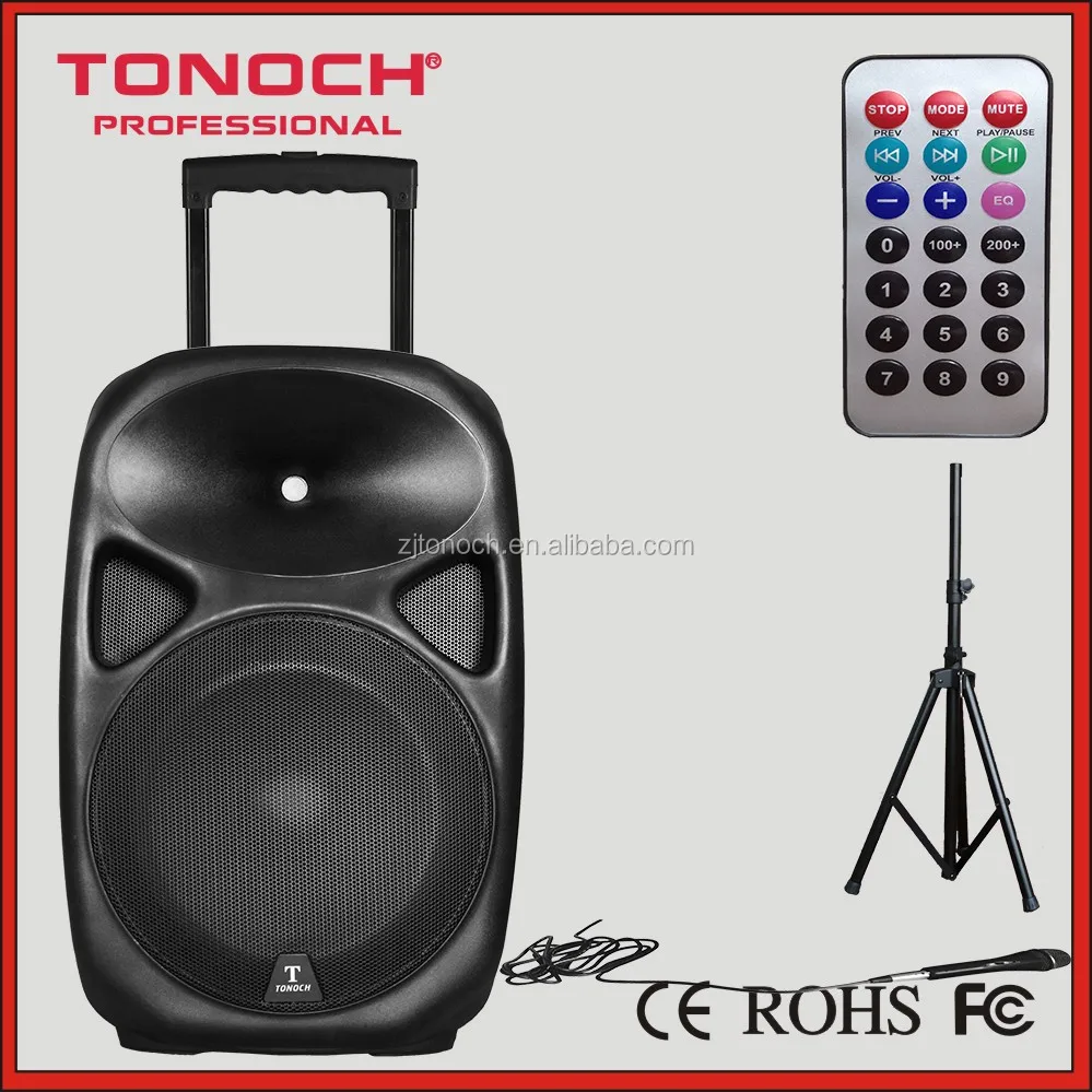 professional battery speaker system