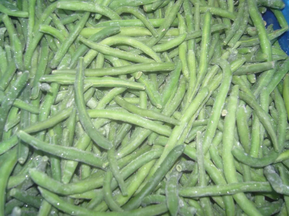 frozen whole iqf long cut green beans