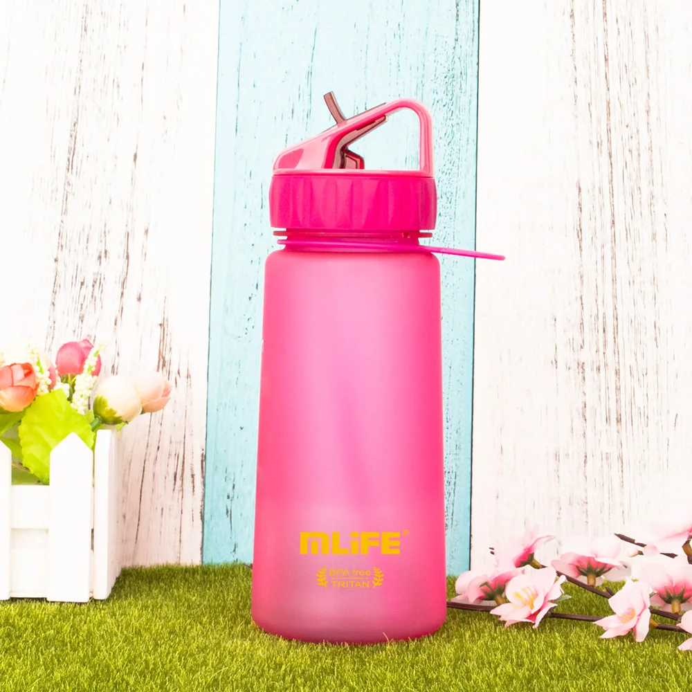 Mlife 500ml Leakproof Empty Custom Bpa Free Clear Plastic Water Bottle With Straw Buy 500ml 0539