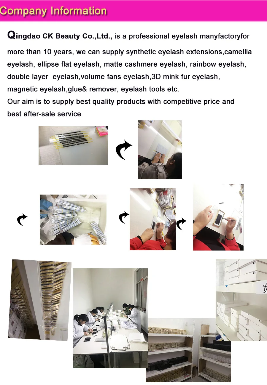 company information.jpg