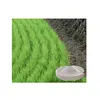Potassium Industrial Agricultural Use SAP Super Absorbent Polymer For Sap