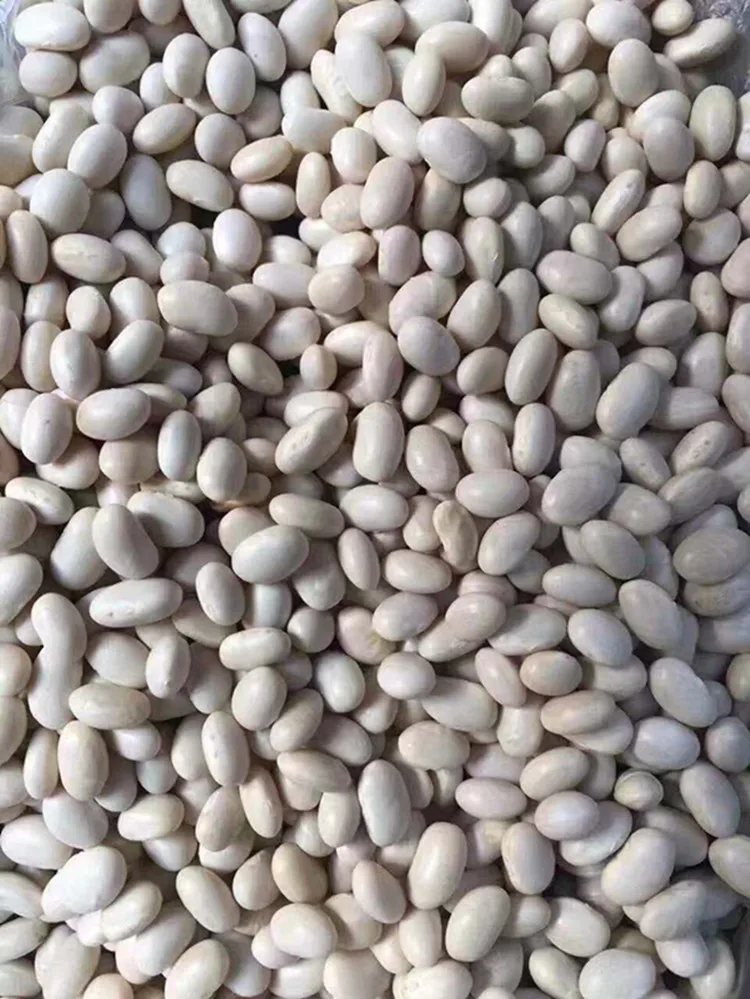 420450 Grains/100g Beans White Kidney Buy Beans White Kidney,White