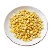 High Quality Freeze Dried Yellow Sweet Corn FD Whole Kernel In Bulk For Sale