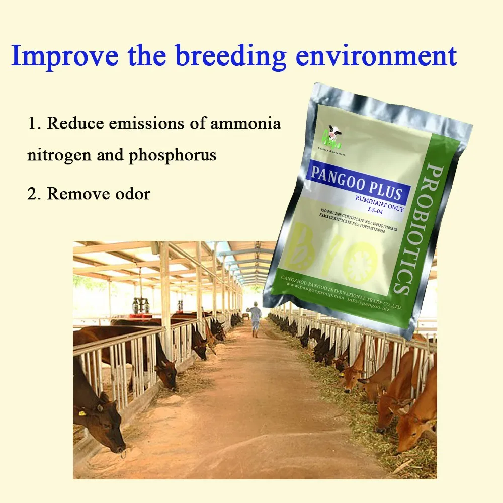 Cattle,Cow,Sheep Used Prebiotics Feed Additives Buy Cattle,Probiotics