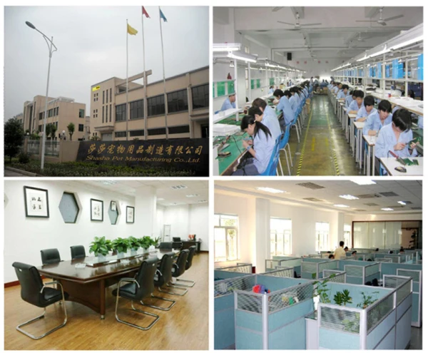 our company B.jpg