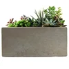 Succulent Rectangular Indoor Planter Pots