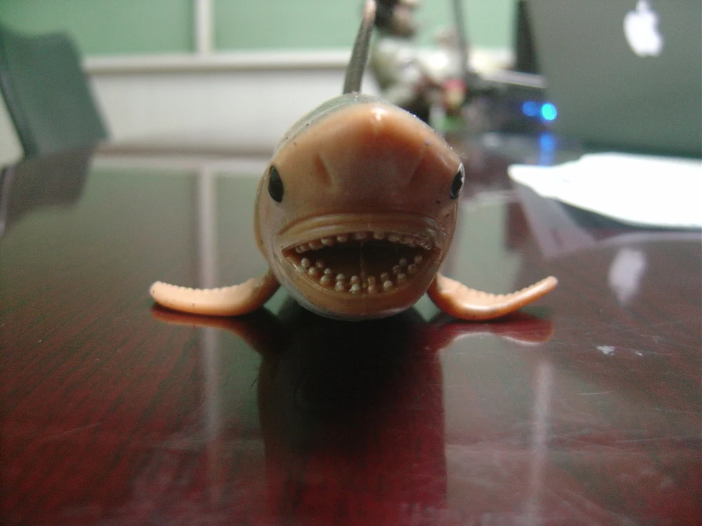 shark squishy toy