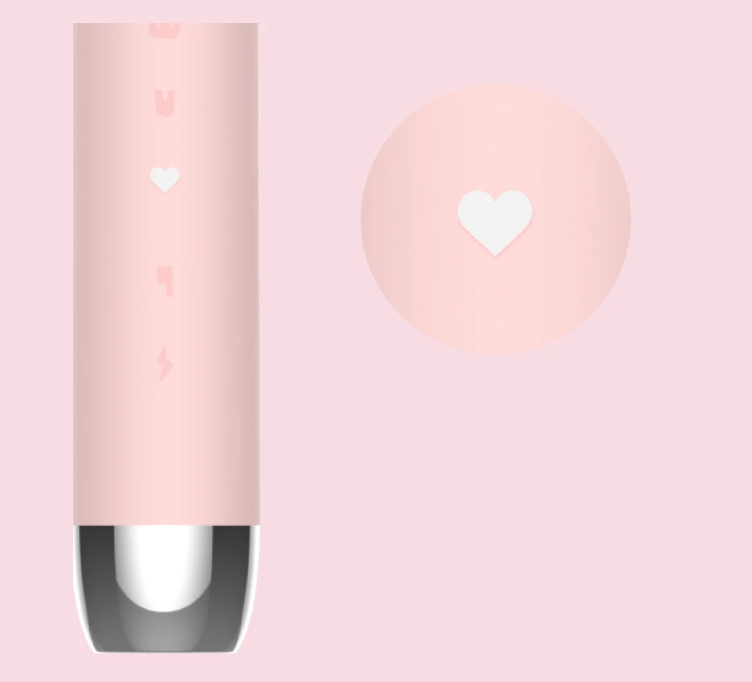 Rechargeable Electric Toothbrush