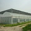 Good daylighting and fire retardant multi span green house with climate control and cooling pads