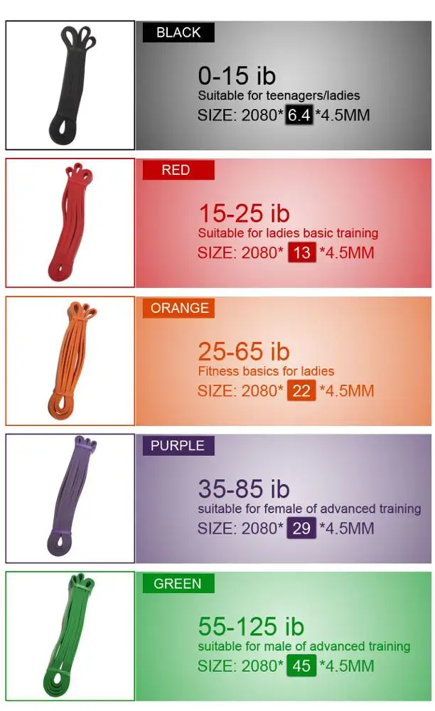 big 5 exercise bands