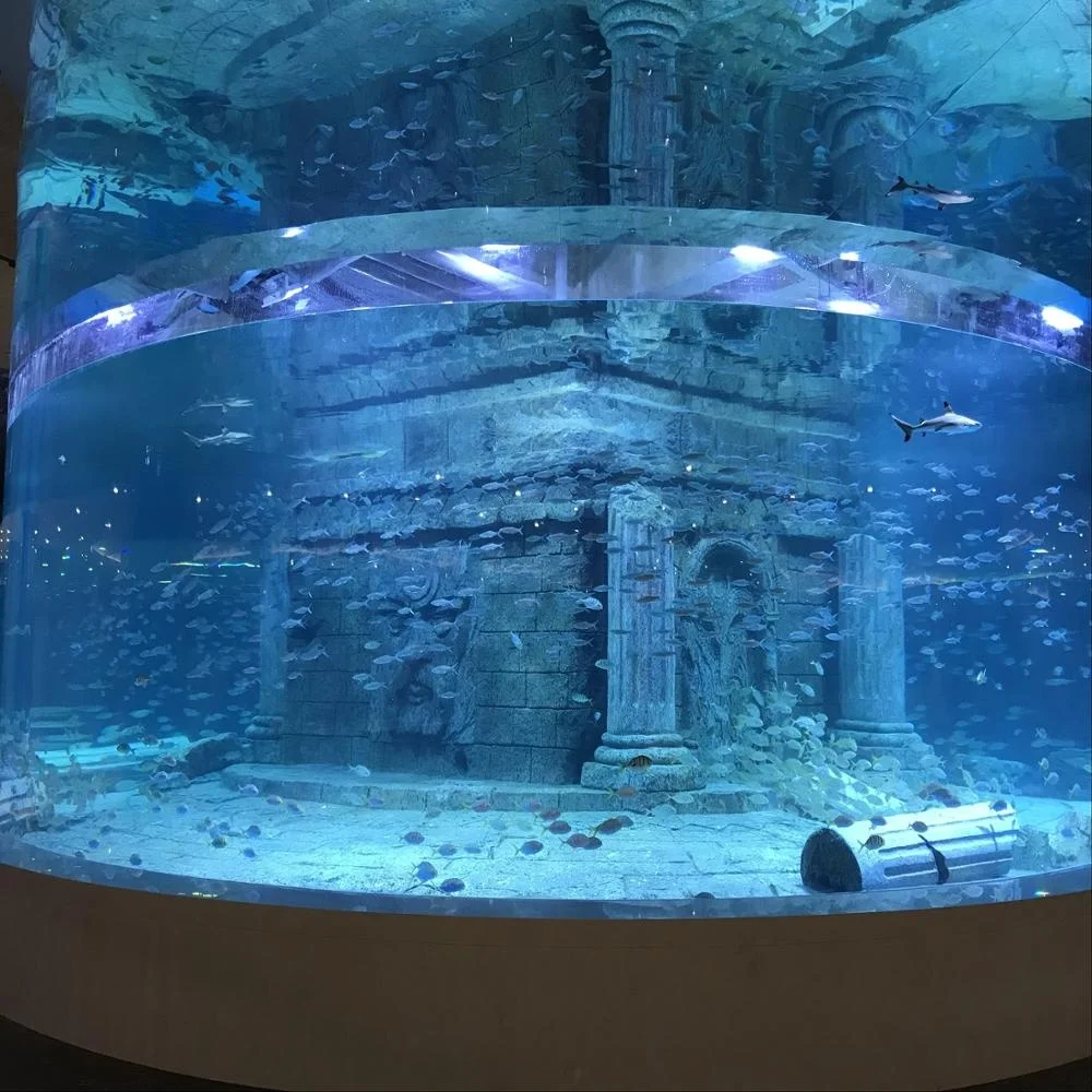Meerwasser Aquarium Acryl