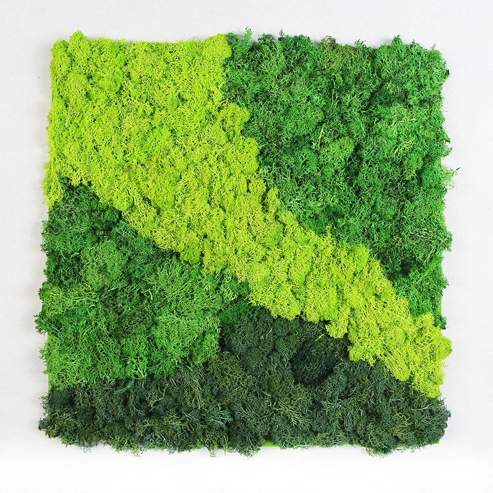 Cheap Decorative Garden Durable And Realistic Faux Plastic Green Moss Wall Buy Faux Moss