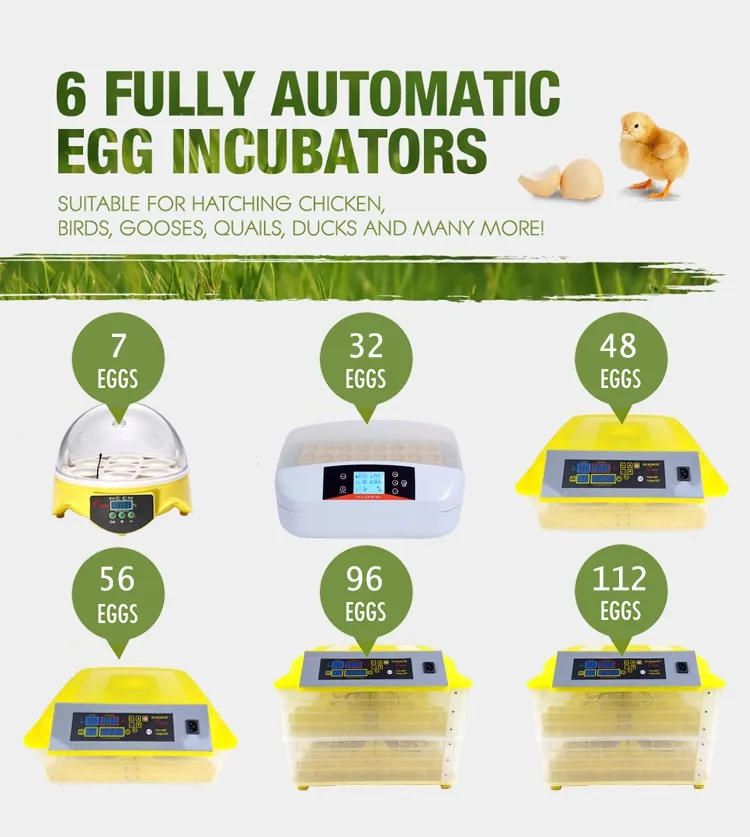 Foam incubator