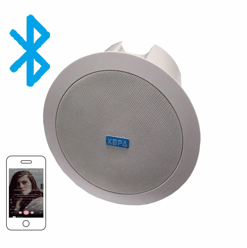 ceiling speakers with built in amplifier