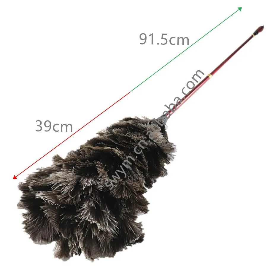 ostrich feather price