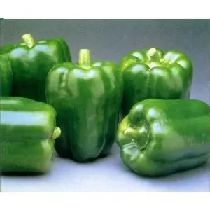 GREEN BELL PEPPERS LARGE FRESH FRUIT PRODUCE VEGETABLES EACH (1)