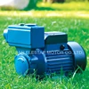 TPS Series House Use Self-priming peripheral water Pump
