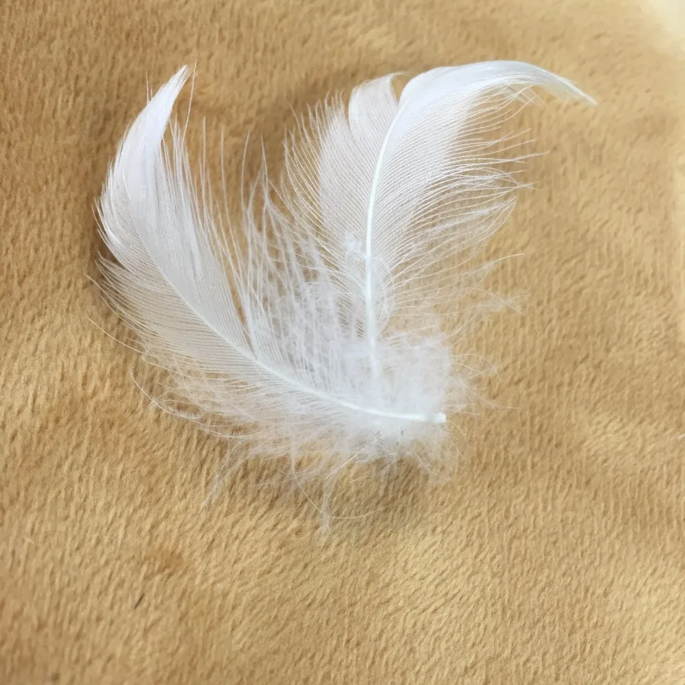 down feathers for sale